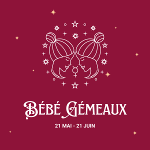 Signe astrologique bébé gémeaux