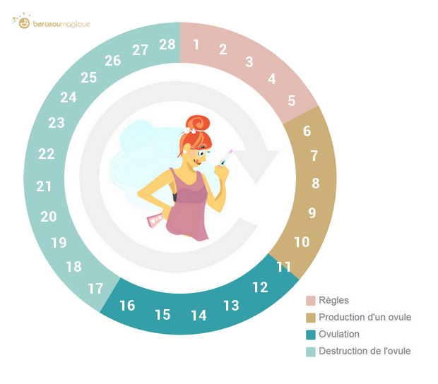 La Conception D Un Bebe Berceau Magique Le Mag