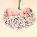 10 jolis prénoms de fleurs craquants pour bébé