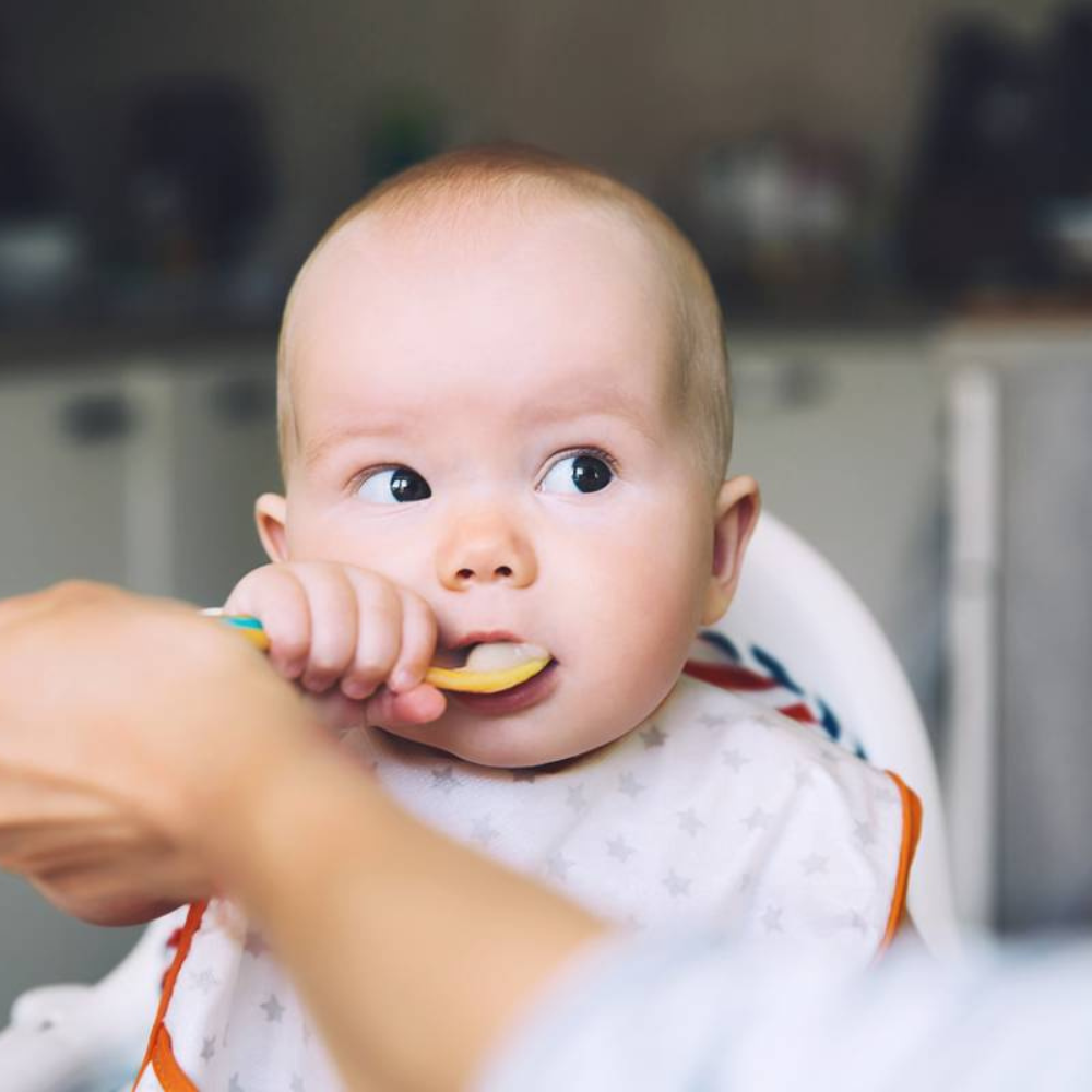votre-b-b-f-te-ses-6-mois-que-doit-il-manger