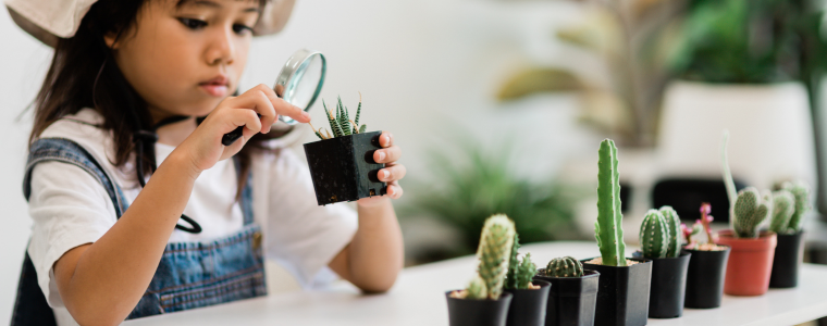 Enfant explorant des plantes en classe Montessori.