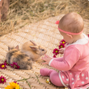 chambre bébé printemps lumineuse avec décoration douce