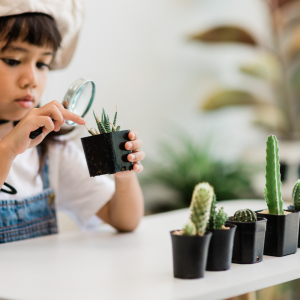 Enfant explorant des plantes en classe Montessori.