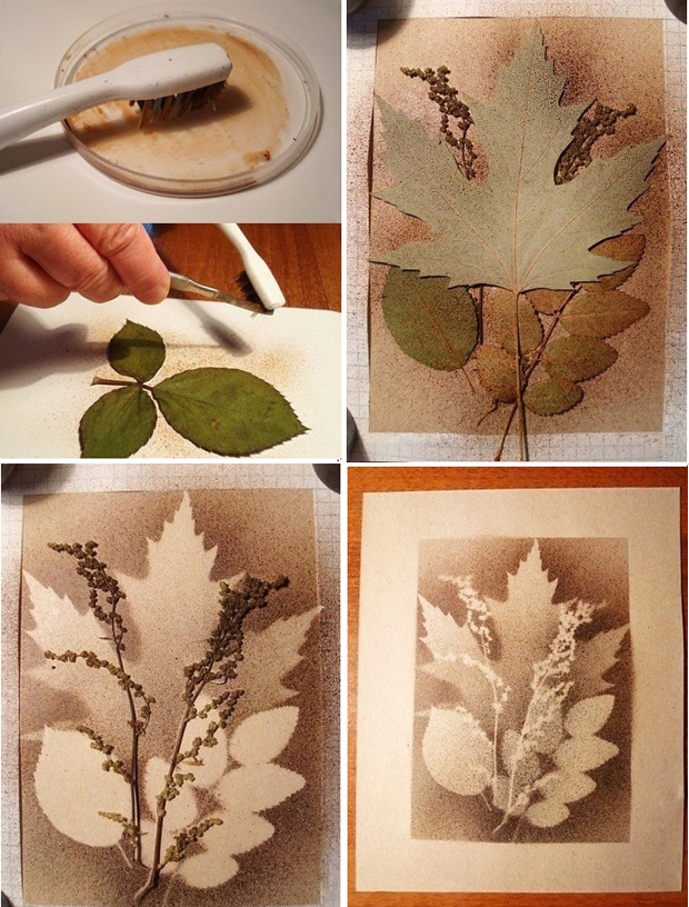 Un tableau d'empreintes de feuilles